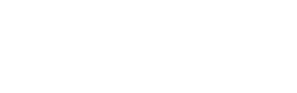 Toleco